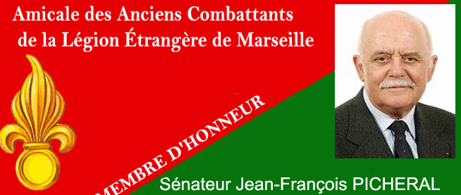 PICHERAL-Jean-franois-membre-dhonneur.jpg