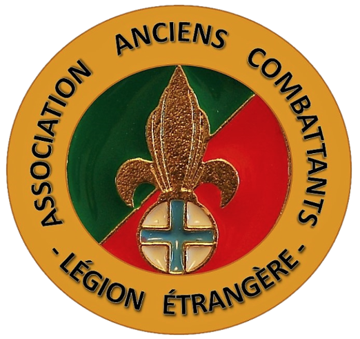 Pins-AACLE.png