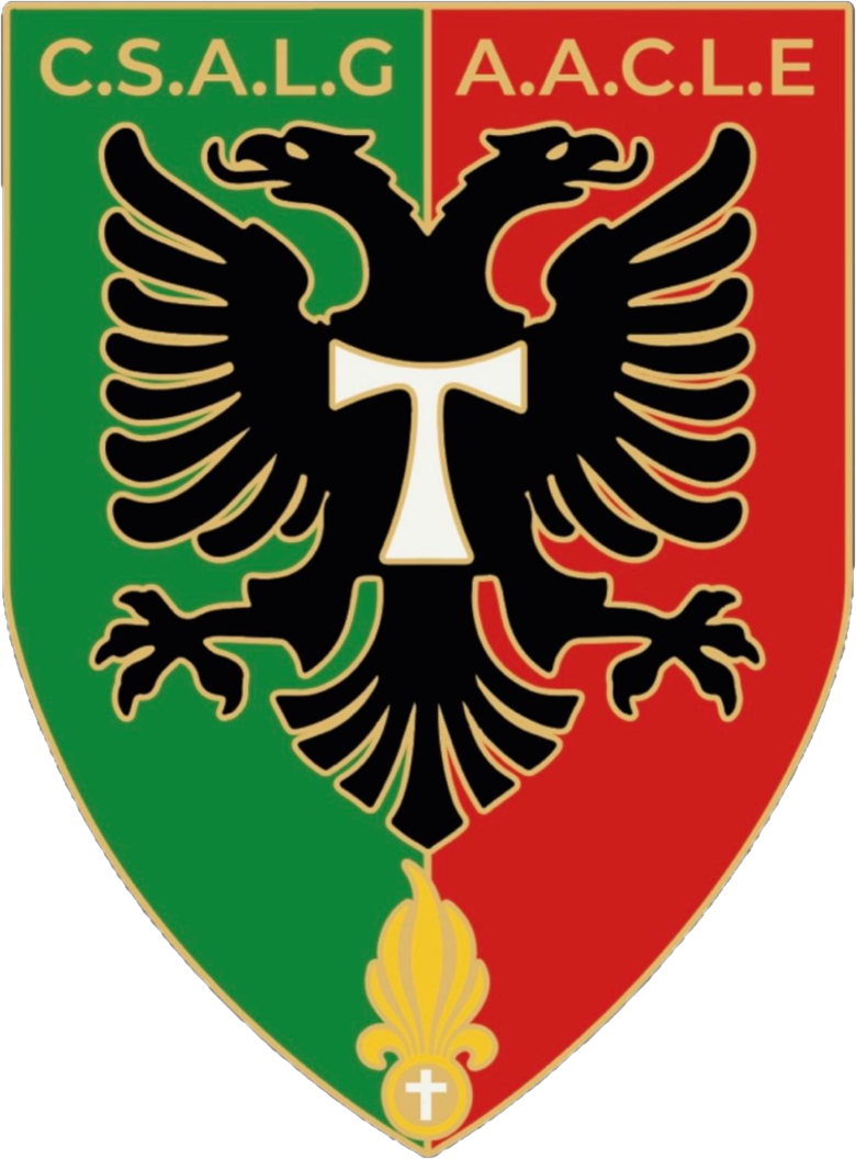 logo-SALG.png